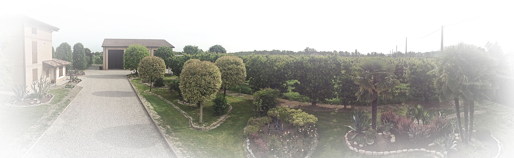 azienda manzini franco